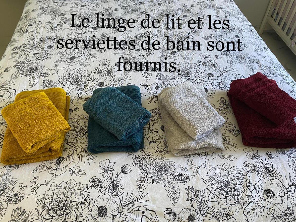 3 Pieces Climatise En Rez De Jardin Avec Piscine Apartment วิลล์เนิฟ-ลูเบ ภายนอก รูปภาพ